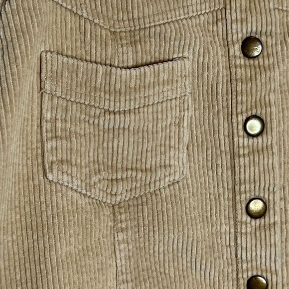 She and Sky Skirt Womens Corduroy Mini Flare Size Small Tan Brown Fall Casual - Picture 4 of 12
